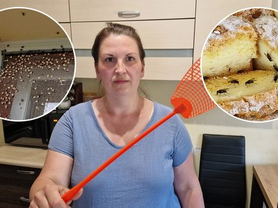 W jednym momencie ciasto zrobiło się czarne... Co za obrzydlistwo! Mieszkańcy wsi są zdruzgotani