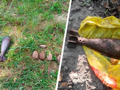 Groźne odkrycie na Mazowszu. Od sklepowej torby do nawet 8 lat więzienia