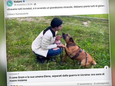 Nie mogliśmy uwierzyć w ten cud