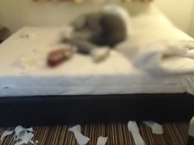 Skandaliczne transmisje. Patostreamerzy znęcali się nad nastolatkami
