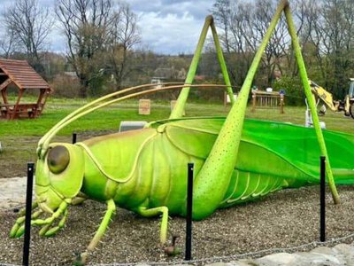 Owady-giganty są atrakcją placu rekreacyjnego, który powstał nad rzeką Jasiołka w Niżnej Łące. To początek ścieżki spacerowej [ZDJĘCIA]