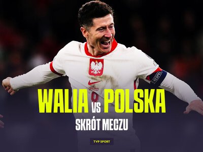 Finał baraży do Euro 2024: Walia – Polska [SKRÓT]