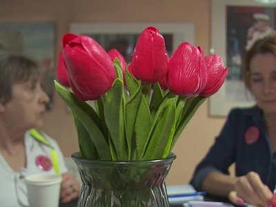 Symbolem tego dnia są tulipany. Fot. TVP3 Katowice