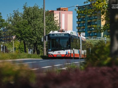 Jak autobusy będą kursowały w weekend majowy?