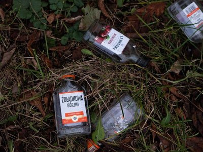 Małpki znikną ze sklepowych półek? Posłanka apeluje do Sejmu ws. małych butelek alkoholu