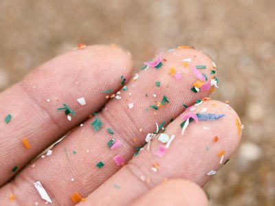 „To jakby raz w tygodniu zjeść kartę kredytową”. Mikroplastik mamy we krwi, w sercu i w jądrach