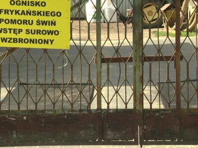 Wirus ASF dotarł do pierwszego gospodarstwa w regionie