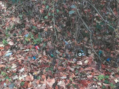 Fotopułapka okazała się skuteczna. Sprawcy zaśmiecania lasu ponieśli karę