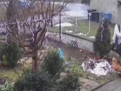 30.01.2025 – Ksiądz kopał psa