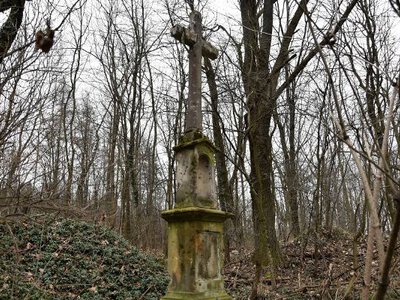 Tajemnicza historia przygranicznej wsi. Mieszkańcy odeszli, zostały po nich tylko zgliszcza