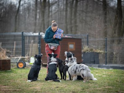 Jeśli tego nie zmienimy, pogryzień będzie więcej. Katarzyna Harmata apeluje
