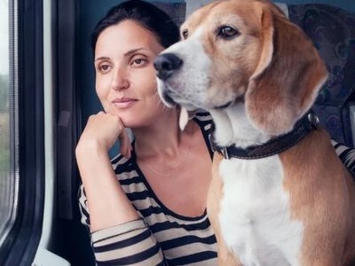 Jak zaplanować majówkę z psem, by była udana dla obu stron? To nie fanaberia
