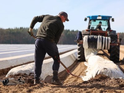 Wchodzi Mercosur. Polski biznes bez entuzjazmu. Zyski widzą dwie branże