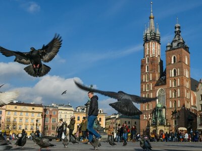 Majówka tuż-tuż. Polacy zmieniają upodobania, pojawił się nowy trend