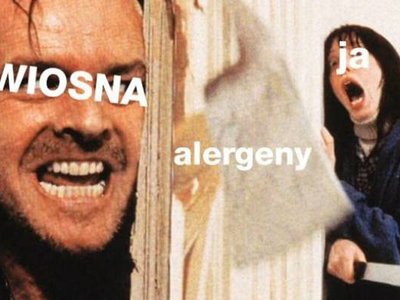 Kichaj na alergię i przeziębienie! Te memy poprawią ci humor, gdy wokół wszystko kwitnie i pyli