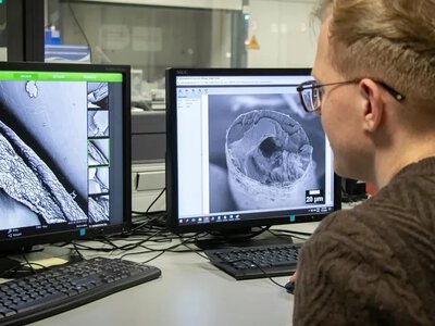 Polacy skopiowali futro niedźwiedzia polarnego. Stworzyli przełomowe nanowłókna