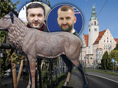 Jeleń w parku podzielił miasto. Świat wygląda inaczej niż w bajkach