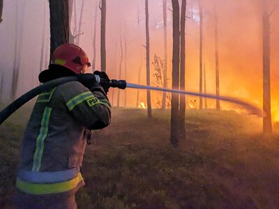 Trwa walka z pożarem lasu. W akcji tysiąc osób, śmigłowce, samoloty i drony