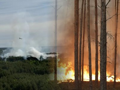 Pożar na Mazowszu się rozprzestrzenił. Najnowsze informacje, apel premiera