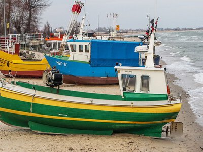 Dorsz znika, morze się dusi. PE szykuje reset dla Bałtyku