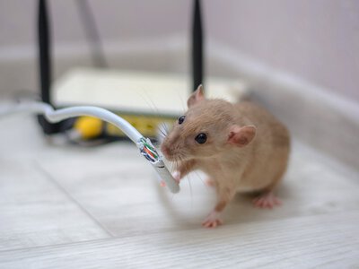 Potężna awaria internetu w Polsce. Wiele usług padło