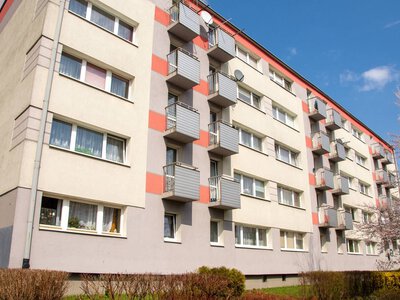 Bat na dzikich lokatorów? Właściciel zgłosi, nałożą grzywnę