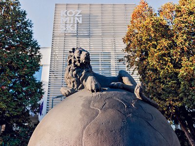 MBA w Polsce szybko się zmieniają. Czym się kierować przy wyborze uczelni i programu?