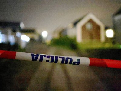 Szczątki płodów na posesji pod Rzeszowem. Jest decyzja sądu ws. patomorfolożki