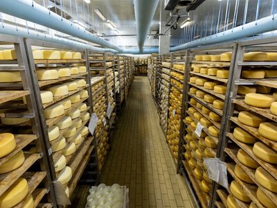 Najdroższy ser na świecie. Na 1 kilogram Polak musi pracować 6 tygodni