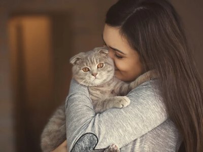 Twój kot cię ignoruje? Ten cichy komunikat łatwo źle zrozumieć