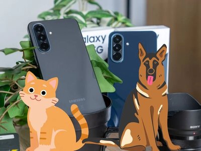 Samsung Galaxy jak weterynarz. Robisz zdjęcie kota i wszystko wiadomo