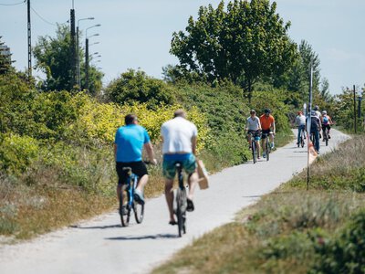 Rowerzyści zaatakowani na trasie na Hel. Trudno uwierzyć, czym straszył ich kierowca