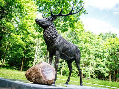 Spór o jelenia z łusek po nabojach. Postument oblano czerwoną farbą