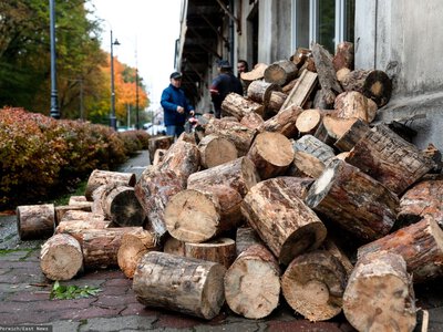 Ceny opału. Oto ile kosztuje metr drewna