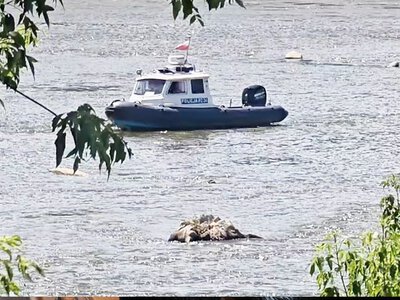 Zwłoki w Wiśle. Sprawdzają, czy to zaginiony 15-latek