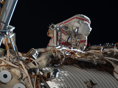 Czy życie może przetrwać w kosmosie? NASA zamierza to sprawdzić. Raporty sugerują, że to możliwe