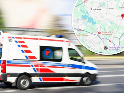 Dziewczynka pogryziona przez psy. Tata próbował je rozdzielić