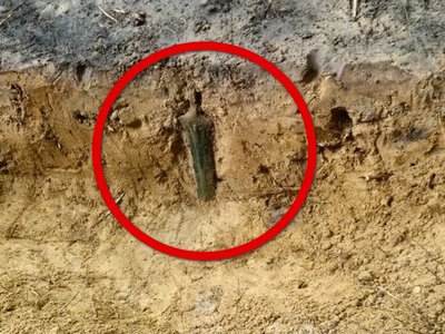 Niezwykłe odkrycie w lesie. Skarb czekał pod ziemią 3000 lat