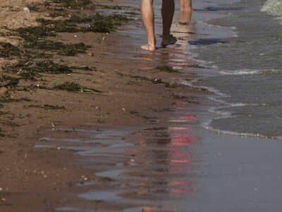 Zakaz kąpieli nad Bałtykiem. GIS zamknął kolejne plaże przez sinice. Eksperci ostrzegają
