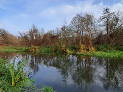 Trudna sytuacja w polskich rzekach. Seria komunikatów o śniętych rybach