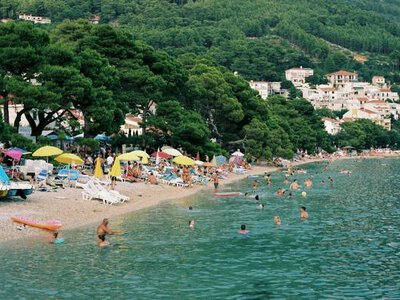 Nie tylko słońce parzy. Co cię może ukłuć, ugryźć albo poparzyć podczas urlopu? Sprawdź, jak unikać zagrożenia i co zrobić, gdy ucierpisz