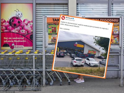 Bangladesz w Polsce. Zagroda z palet pod sklepem Biedronki