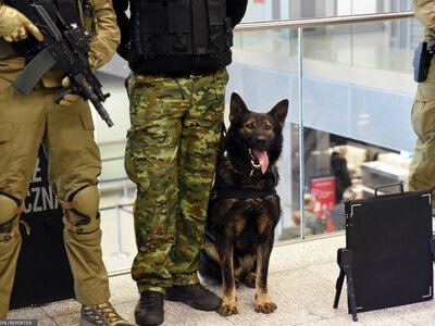 Płacą 6 tys. na rękę i dopłacają do mieszkania. Szukają 2 tys. osób