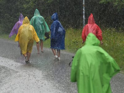 TPN pokazuje skutki uderzenia pioruna w drzewo. Apelują do turystów