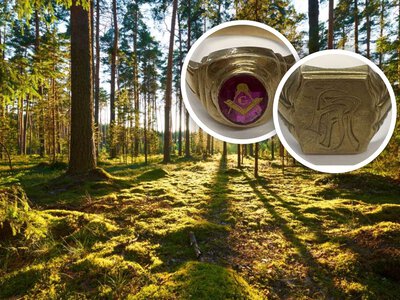 Złote pierścionki zakopane w lesie. Niemiecka policja szuka tropu