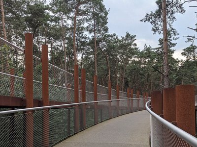 10 m nad ziemią. Ta ścieżka zachwyca całą Europę. Można sięgnąć koron drzew