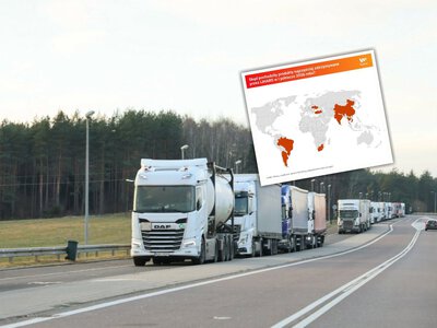 Żywe szkodniki i pleśń. Te produkty z zagranicy nie wjechały do Polski
