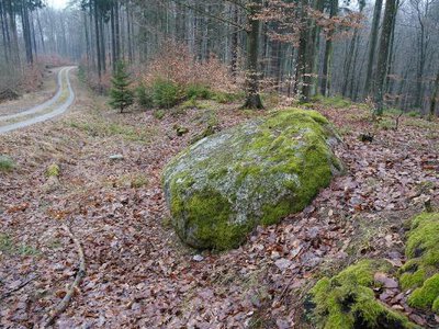 Tajemnicza historia z Pomorza. Kamień ze śladami sprzed lat