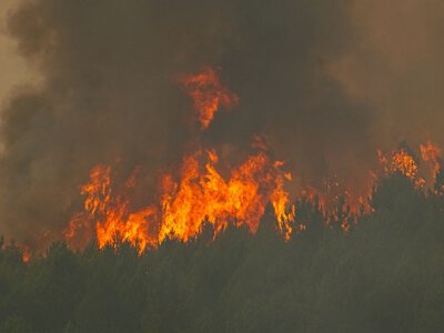 Pożary sieją spustoszenie. Ewakuowano setki tysięcy osób