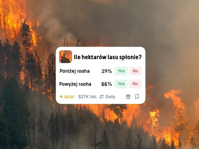 Ludzie obstawiają katastrofy klimatyczne. Chory trend w internecie